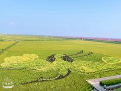 -红海滩国家风景廊道