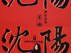 -中街·盛京龙城