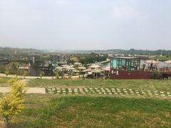 -空港花田景区