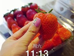 乐天超市(乐天世界分店)-乐天超市(蚕室店)