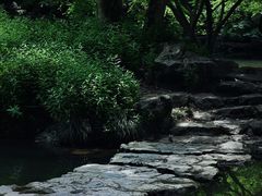 -杭州植物园