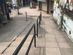 -猫咪博物馆(顶澳仔猫街店)