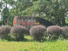 -金山植物公园