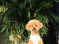 -小意思咖啡店(草桥店)