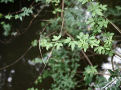 -成都杜甫草堂博物馆