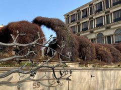 -伯衡55·吉品轩(乌鲁木齐南路店)