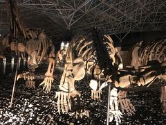 -世界恐龙谷景区