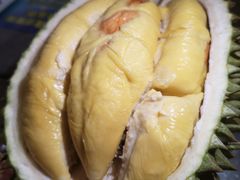 -都念榴莲·城市榴莲