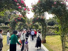 -人民公园(罗湖区)