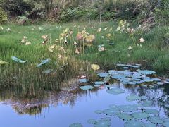 -仙店农庄(湖景农庄餐厅)