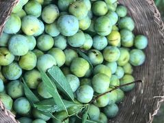 -仙海旅游度假区