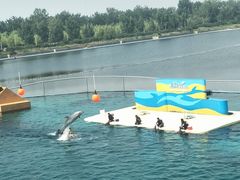 -秦皇岛乐岛海洋王国