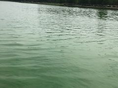 -滨湖塘西河公园
