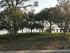 -漕湖湿地公园