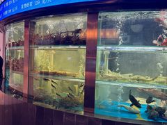 -1718海鲜姿造(苏宁宴请臻选店)