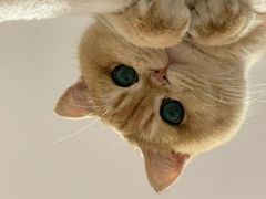 -荔康动物医院(康王北路店)