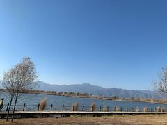 -野鸭湖国家湿地公园