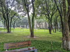 -重庆市江北嘴中央商务区中央公园