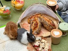 -伴山茶苑·围炉煮茶