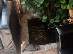 -德全心悦酒店(北京金台路地铁站店)