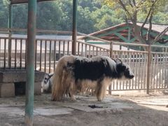 -无锡动物园·太湖欢乐园