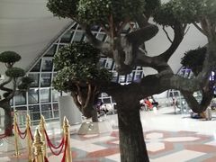 -曼谷素万那普国际机场