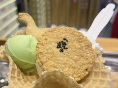 -陕拾叁-西安糕点(北院门创始店)
