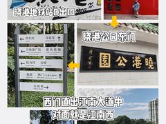 -晓港公园