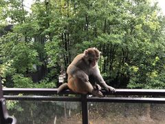 -苏州环秀晓筑养生度假村