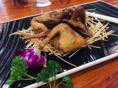 -顺德了能馆(虎门店)