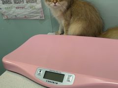 -嘉馨宠物医院·CT影像转诊·心脏科·犬猫全科诊疗中心(下沙大学城院区)