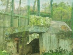 -广州动物园