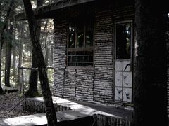 -五营红松林海景区