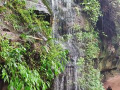 -青峰峡国家森林公园