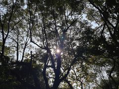 -燕晗山郊野公园