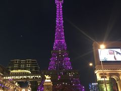 -影汇之星8字形摩天轮