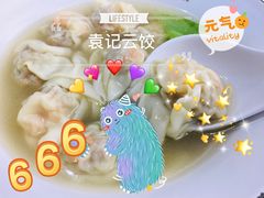 鲜虾蟹籽云吞-袁记云饺(鼓楼店)