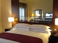 -新加坡乌节希尔顿酒店 (SG Clean)