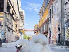 -广州市紫泥堂文化创意园景区