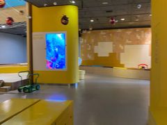 -IBOBI早教·托班·国际家庭互动成长中心(欢乐海岸中心)