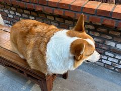 -熙古里艺术村