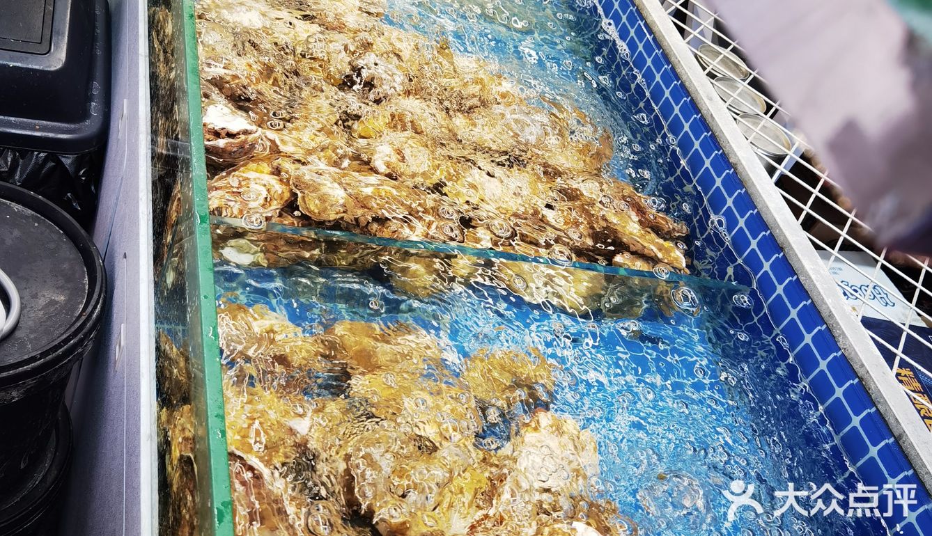 羊肉串不错哦