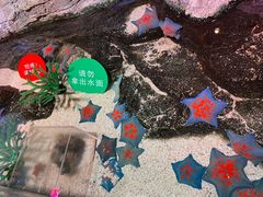 -沈阳海洋探索中心