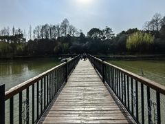 -黄兴公园