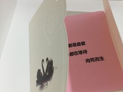 -BLACKSWAN黑天鹅(环球店)