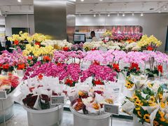 -盒马X会员店(王府井奥莱UP TOWN店)