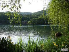 -紫霞湖公园