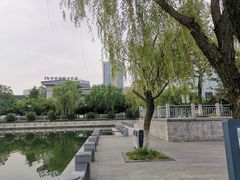-聚龙湖公园