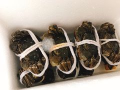 -黄记大闸蟹专卖店·活蟹·醉蟹