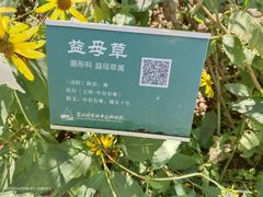 -翠湖国家城市湿地公园